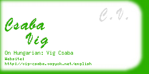 csaba vig business card